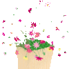 『ＮＨＫ杯』