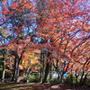 小松寺 2020/12/13