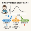食後血糖値のしくみ 〜ホルモンの働きとその変化〜　茅ヶ崎ファミリークリニック