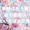 【季節はもう春】桜が満開の春といえばお花見 ！