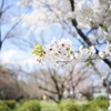 今限定の日本中のパワースポット