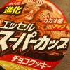 チョコクッキーアイスクリーム