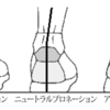 おすすめランニンググッズ【シューズ編】