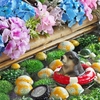 梅雨入りの日...福島市の紫陽花寺「陽林寺」にて（2026.6.20）#1