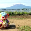 ぬいぐるみベアまなつ・富士山と花景色を満喫