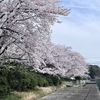 自宅近くに住むお客様と桜談義でした🌸