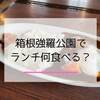箱根ラバーが教える！箱根強羅公園のおすすめランチスポットを厳選紹介