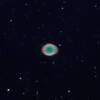 くまたぬきのドーナツ星雲～M57の中央星も写せた