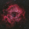 バラ星雲 NGC2237