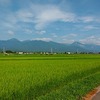 拾ヶ堰ランニング ２０２６夏