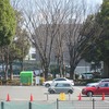 蘆花恒春園_梅（東京都世田谷区）