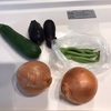 夏野菜の消費は揚げるのが手っ取り早い