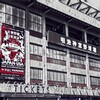 【第45回日米大学野球選手権 第５戦 神宮球場観戦記】