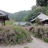 香川県塩江町にある「最明寺」は萩の花に包まれた山寺