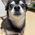 まろにー3995日目