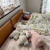 風邪ひきましたー！