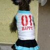  実用的な初音ミクの犬服