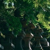 ごあいさつ
