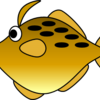 そろそろカワハギ釣りの支度にかかります