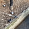 てすとで100てんとったハナシ〈mata.〉