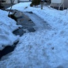 夕暮れ時はさびしそう。。って歌がありました。。