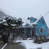 朝起きたら雪