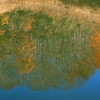 水面に映る景色を眺めながら漕いでいくⅢ