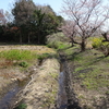 川口市道合　窪下の湧水群