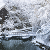 雪景色