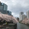 満開。