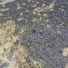 大島の空から ・・・