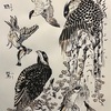 ハンター鳥