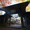 習慣となった登山をしに、奥多摩へ