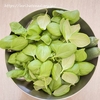 最近の家庭菜園