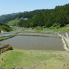 日本棚田百選のひとつ、四谷の千枚田（愛知県新城市）を見てきました