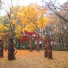 森林公園