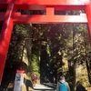 箱根：箱根神社（坂上田村麻呂）。彫刻の森美術館（ピカソ館）。強羅公園（茂吉）。大涌谷（富士山）