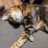 ウチらのは誰がやってくれるん？（義父が亡くなって）