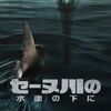 【映画】セーヌ川の水面の下に