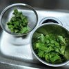 青じそ蕎麦