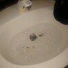 No.281（10/8）偶然ではないかも。配管詰まり。