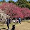 読書『地球が燃えている』と『在宅ひとり死のススメ』