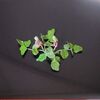 ハンドメイド　ミニチュアフラワー　秋の七草「葛」作りました。