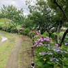 禁酒46