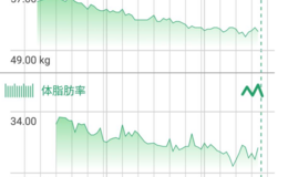 記事を見る