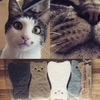 【雑食な雑記】動物が教えてくれること