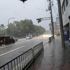 豪雨の京都旅3/終:街ブラ・グルメ編