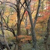 小田深山〜ふるさと旅行村へ