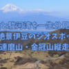 新年に富士山を見るために、伊豆の達磨山・金冠山でお手軽超絶景稜線歩きをしてきました！2024.1