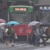 雨の一日